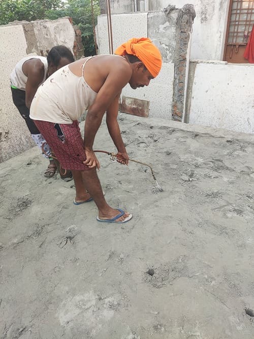 Pest control